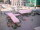 Webcam in Chemnitz, 0 mi away