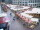 Webcam in Chemnitz, 30.3 km