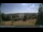 Webcam in Hohegeiß, 4.3 mi away