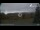 Webcam in Hohegeiß, 5.2 mi away
