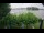 Webcam in Paderborn, 9.8 mi away