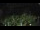 Webcam in Paderborn, 2.8 mi away
