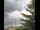 Webcam in Weißensee, 25.6 km