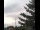 Webcam in Weißensee, 11.6 mi away