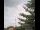 Webcam in Weißensee, 9.9 mi away