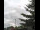 Webcam in Weißensee, 30 km