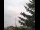 Webcam in Weißensee, 24.7 km