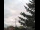 Webcam in Weißensee, 24.7 km