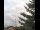 Webcam in Weißensee, 10.2 mi away