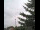 Webcam in Weißensee, 9.3 mi away
