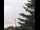 Webcam in Weißensee, 7.8 mi away