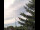 Webcam in Weißensee, 9.5 mi away