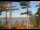 Webcam in Windham, Maine, 181.5 km