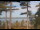 Webcam in Windham, Maine, 142.2 km