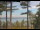 Webcam in Windham, Maine, 171.2 km entfernt