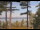 Webcam in Windham, Maine, 23.5 km