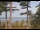 Webcam in Windham, Maine, 76.7 mi away