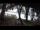 Webcam in Überlingen, 7.1 mi away