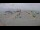 Webcam in Dagebüll, 9.5 mi away