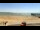 Webcam in La Tranche-sur-Mer, 8.7 km