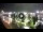 Webcam in Piraeus, 3.4 mi away