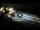 Webcam in Cabarete, 112.5 mi away