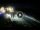 Webcam in Cabarete, 92.8 mi away