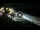 Webcam in Cabarete, 40.4 mi away