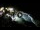 Webcam in Cabarete, 92.8 mi away