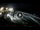 Webcam in Cabarete, 1.4 km entfernt