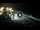 Webcam in Cabarete, 40.4 mi away
