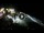 Webcam in Cabarete, 87.4 mi away