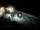 Webcam in Cabarete, 211.9 km