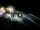 Webcam in Cabarete, 240.5 km