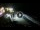 Webcam in Cabarete, 104 km