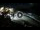 Webcam in Cabarete, 0.4 mi away