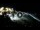 Webcam in Cabarete, 20.3 km