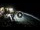 Webcam in Cabarete, 0.4 mi away