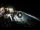 Webcam in Cabarete, 848.1 km