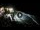 Webcam in Cabarete, 40.4 mi away