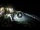 Webcam in Cabarete, 0.4 mi away