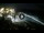 Webcam in Cabarete, 0.2 km
