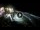 Webcam in Cabarete, 0.4 mi away