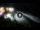 Webcam in Cabarete, 40.4 mi away