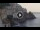 Webcam in Amalfi, 11.3 km entfernt