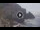 Webcam in Amalfi, 12.2 km