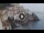 Webcam in Amalfi, 0.7 km entfernt