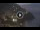 Webcam in Amalfi, 17.7 mi away