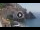Webcam in Amalfi, 9.5 km entfernt