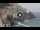 Webcam in Amalfi, 6.1 km entfernt